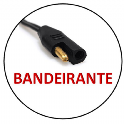 Fonte Carregador de Baterias 6V 900MA para Motos de Brinquedo