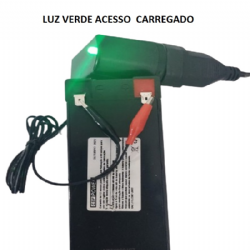 Fonte Carregador de Bateria 12Vdc 800mAh 110/220V FLUTUADOR